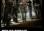 Pearl Jam concert poster The 02 Dublin 2010 A3 Size Replica