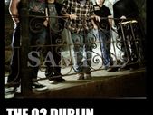 Pearl Jam concert poster The 02 Dublin 2010 A3 Size Replica