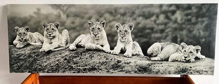 Large Black & White Wall Art Prints. Set of 3