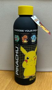 Pokemon stainless steel bottle