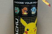 Pokemon stainless steel bottle