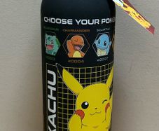 Pokemon stainless steel bottle