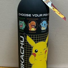 Pokemon stainless steel bottle