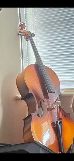 Cello Full size