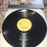 Pink Floyd: A Momentary Lapse Of Reason LP Irish pressing Image 2