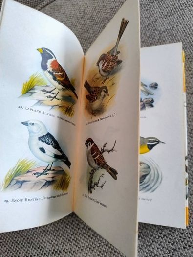 Birds in Colour by Bruce Campbell 1974 hardback with dustcover in good condition with some signs of wear on the dustcover see photos over 200 colour illustrations FREE STANDARD POSTAGE INCLUDED