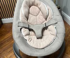 Nuna leaf bouncer