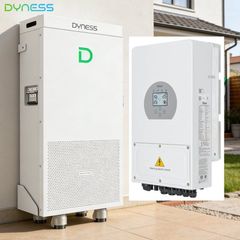 6kw Deye inverter + 16kwh Dyness PowerBrick Plus
