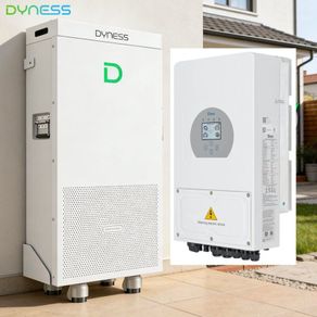 6kw Deye inverter + 16kwh Dyness PowerBrick Plus