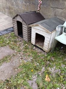 dog house