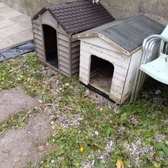 dog house