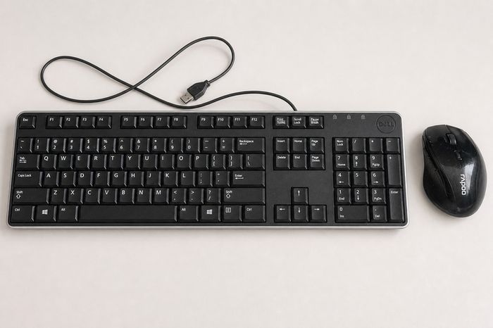 Dell Multimedia USB Keyboard and Rapoo Wireless Mouse