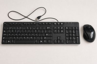 Dell Multimedia USB Keyboard and Rapoo Wireless Mouse