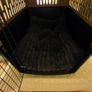 New Dog crate 36 inches Image 4