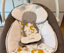 Joie Serina 2-in-1 Baby Swing with 6 speeds