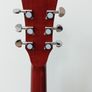 Sire R3 Series, Electro acoustic, Zebra electrics Image 5