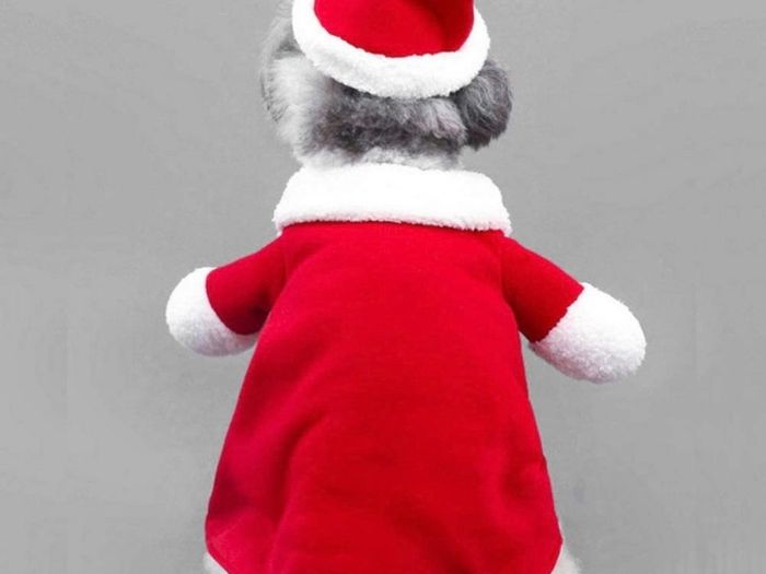 Cat Christmas Outfit, Christmas Pet Clothes Dog Cat Christmas Costume Santa Claus Pet Hoodie Coat for Small Medium Dogs Cats (M Size)
