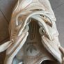 Adidas Ozweego Image 3