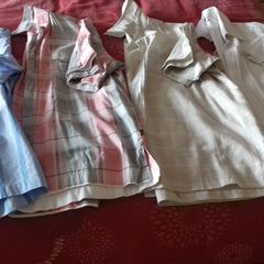 Mens shirts - short  sleeves