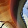 Fender Jazz Bass Image 9