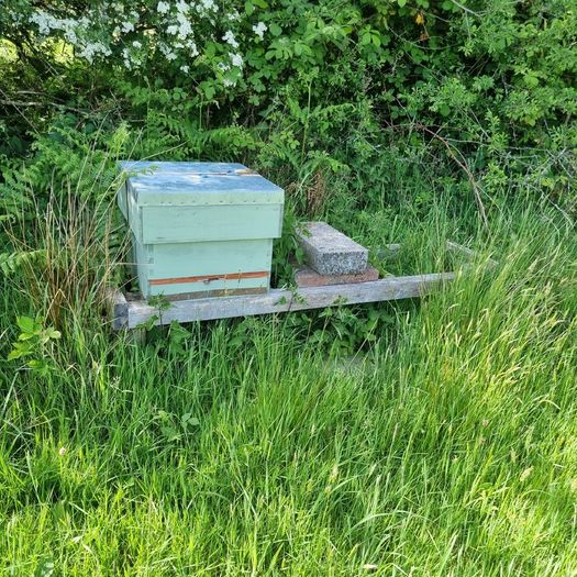 Bee keeping hives