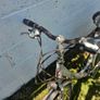 Raleigh Ladies bike Image 4