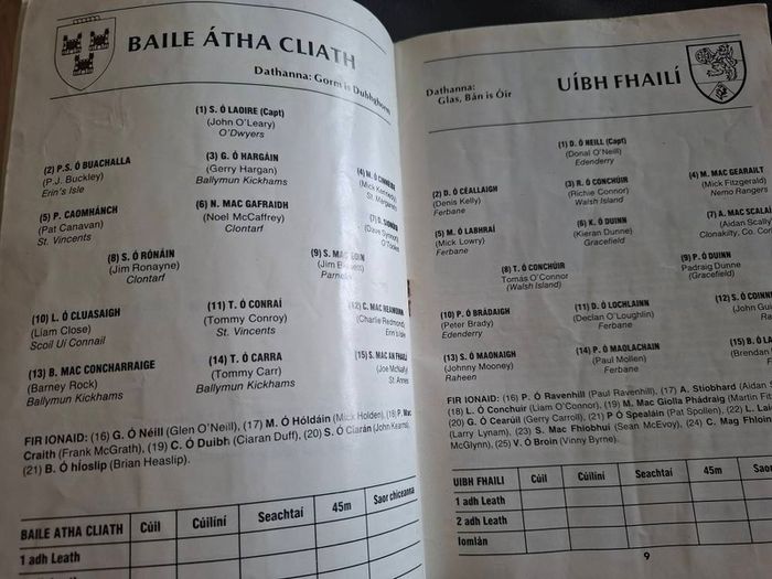 Gaa Leinster Semi Final 1986 Dublin V Offaly