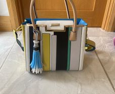 Brand New Ladies River Island Handbag