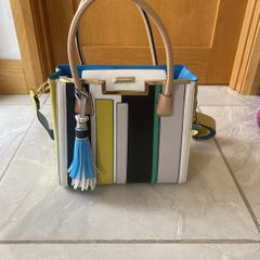 Brand New Ladies River Island Handbag