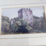 Blarney Castle Ireland Framed Art Print Image 4