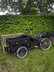 Cargo bike for kids