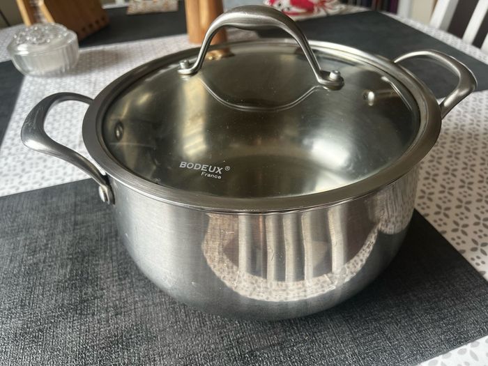 Bodeux 4 ltr stainless steel pot with a glass lid