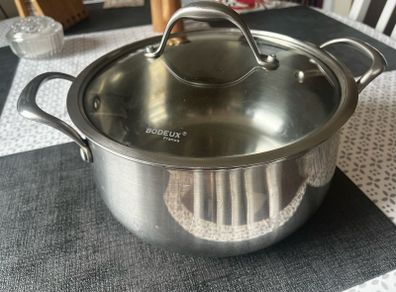Bodeux 4 ltr stainless steel pot with a glass lid