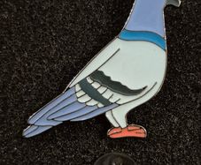 Pigeon, pin back badge.