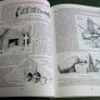 Four Swans Country North Westmeath local history Ireland Irish Image 7