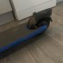 Ninebot scoter Image 4