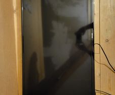 Walker TV - 40inch