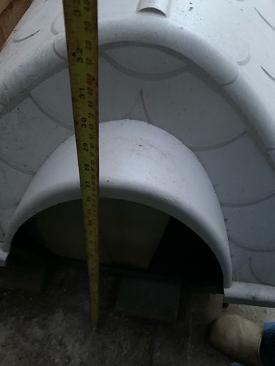 Outdoor Dog kennel