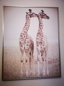 Wall Canvas Print