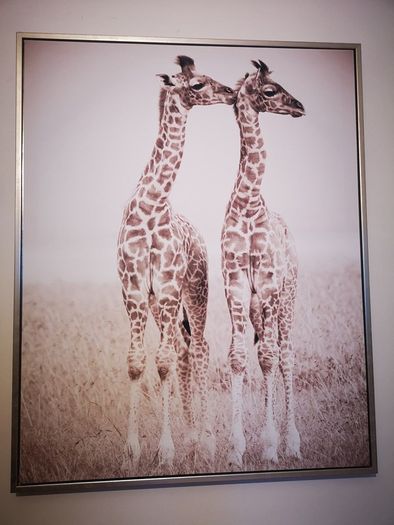 Wall Canvas Print