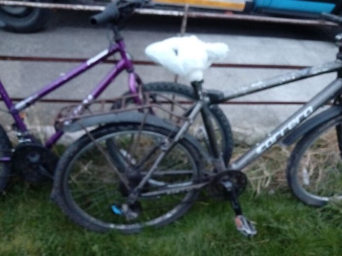 bikes