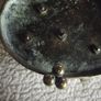Victorian Brass Inkwell Desk Set - Military Theme - Lozenge Mark 13th January 1883 Image 7