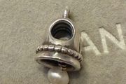 Pandora charm