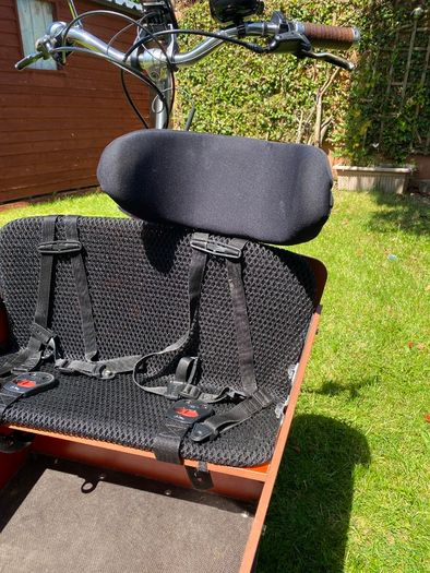 Bakfiets Classic Electric Cargo Bike Short Steps