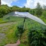 Clear umbrellas wedding Image 2