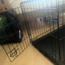 medium dog cage Image 2