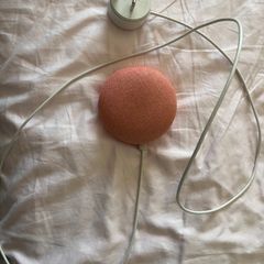 Google Nest Mini