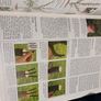 The Royal Horticultural Society Encyclopedia Of Gardening- Christopher Brickell Image 10