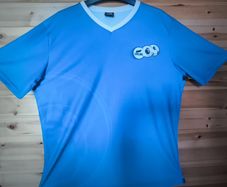 Premier League No 17 Carling Jersey Large