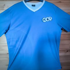 Premier League No 17 Carling Jersey Large